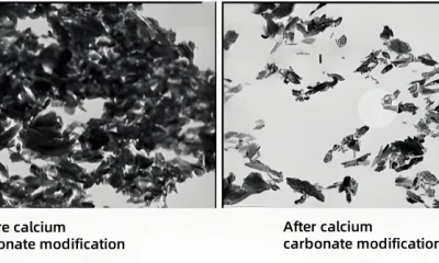 Microscopic image of calcium carbonate before and after modification