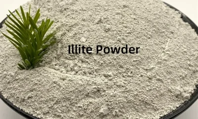 illite powder