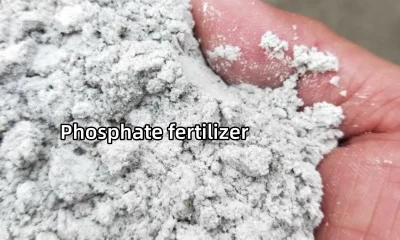 Phosphate fertilizer