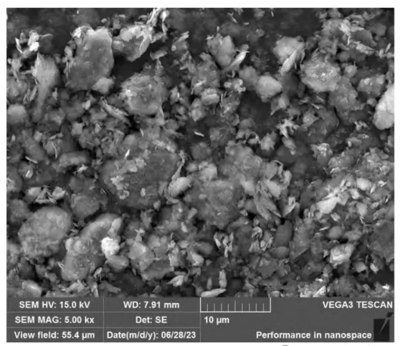 The scanning electron microscope (SEM) image of black talc