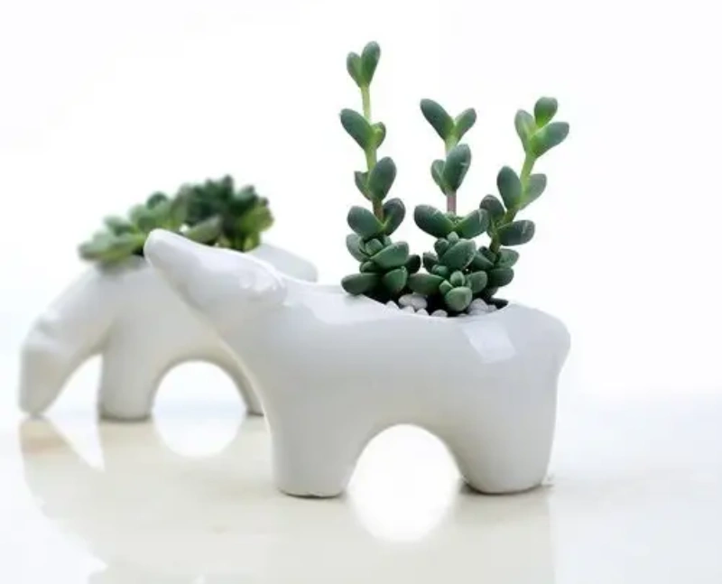 Dolomite ceramic products